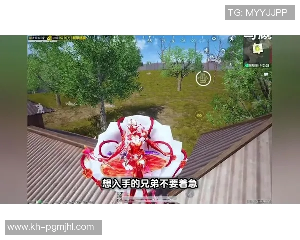 2026电竞新闻和平精英V5版本区域防守机制深度解析与实战技巧分享